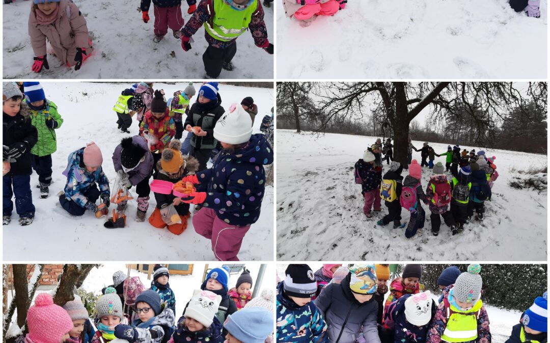 Klíč k přírodě 5, krmení zvířátek