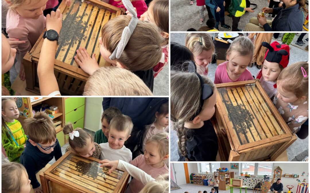 Workshop se včelami