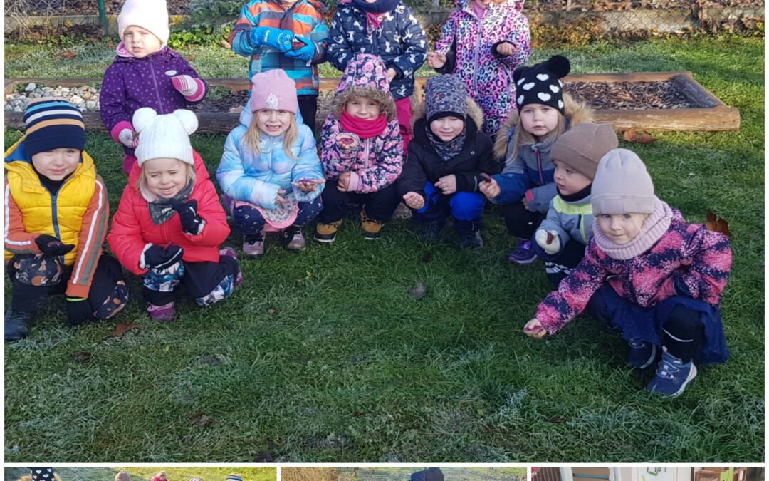 Uspávání berušek